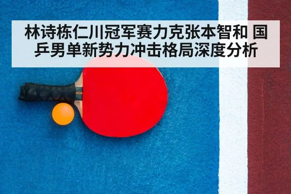 table tennis racket