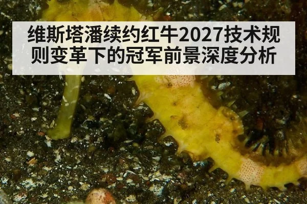 维斯塔潘续约红牛2027技术规则变革下的冠军前景深度分析